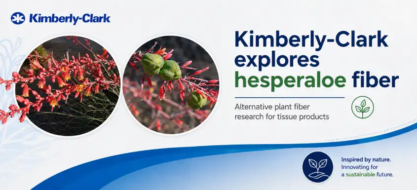 kimberly clark hesperaloe 7aug26 2