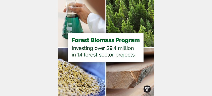 Ontario Supporting Growth and Innovation in the Forest Sector - Paper  Advance