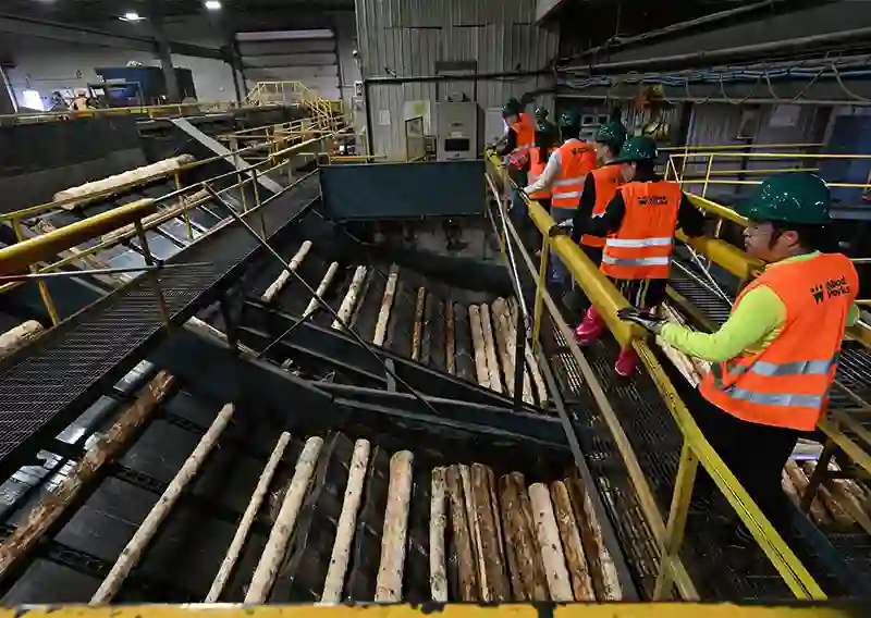 forest sector workers